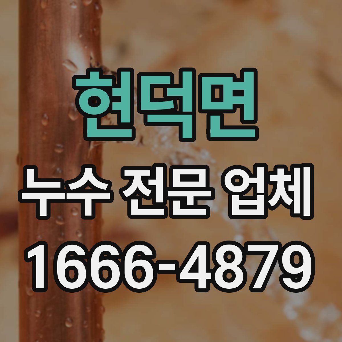 현덕면 누수 전문 업체