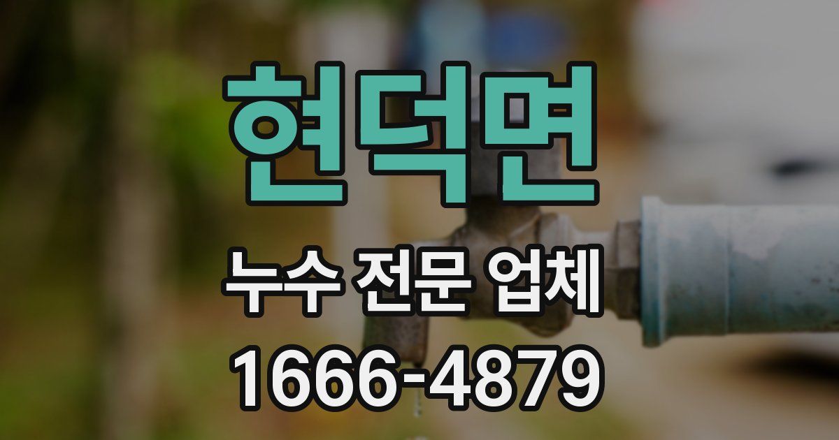 현덕면 누수 전문 업체