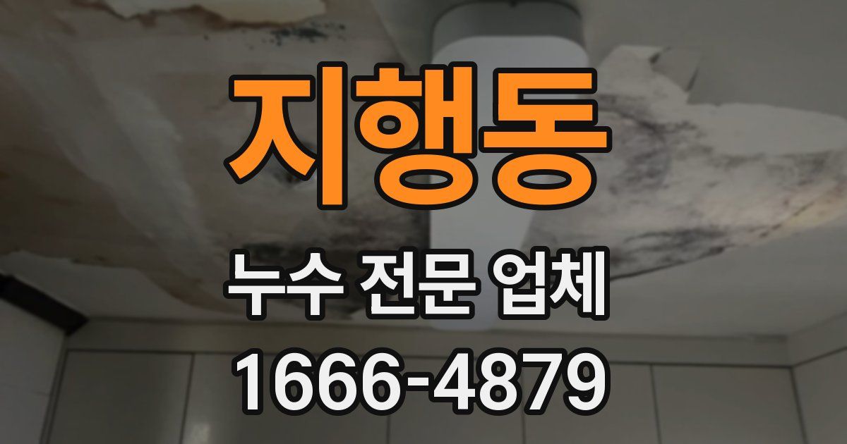 지행동 누수 전문 업체