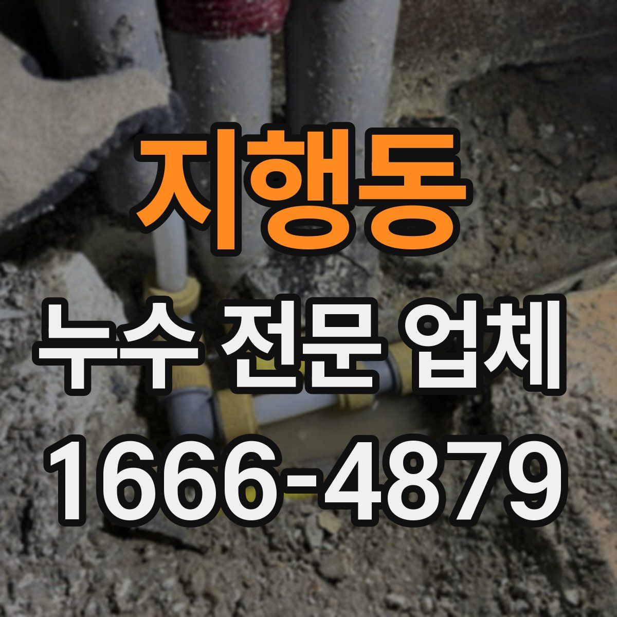 지행동 누수 전문 업체