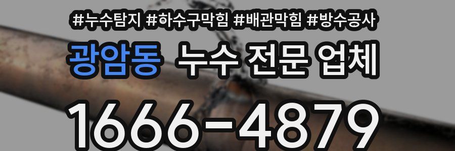 광암동 누수 전문 업체