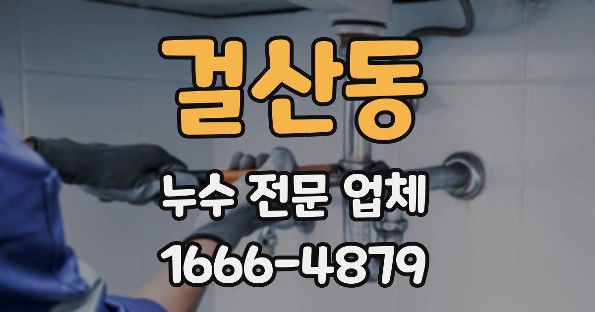 걸산동 누수 전문 업체