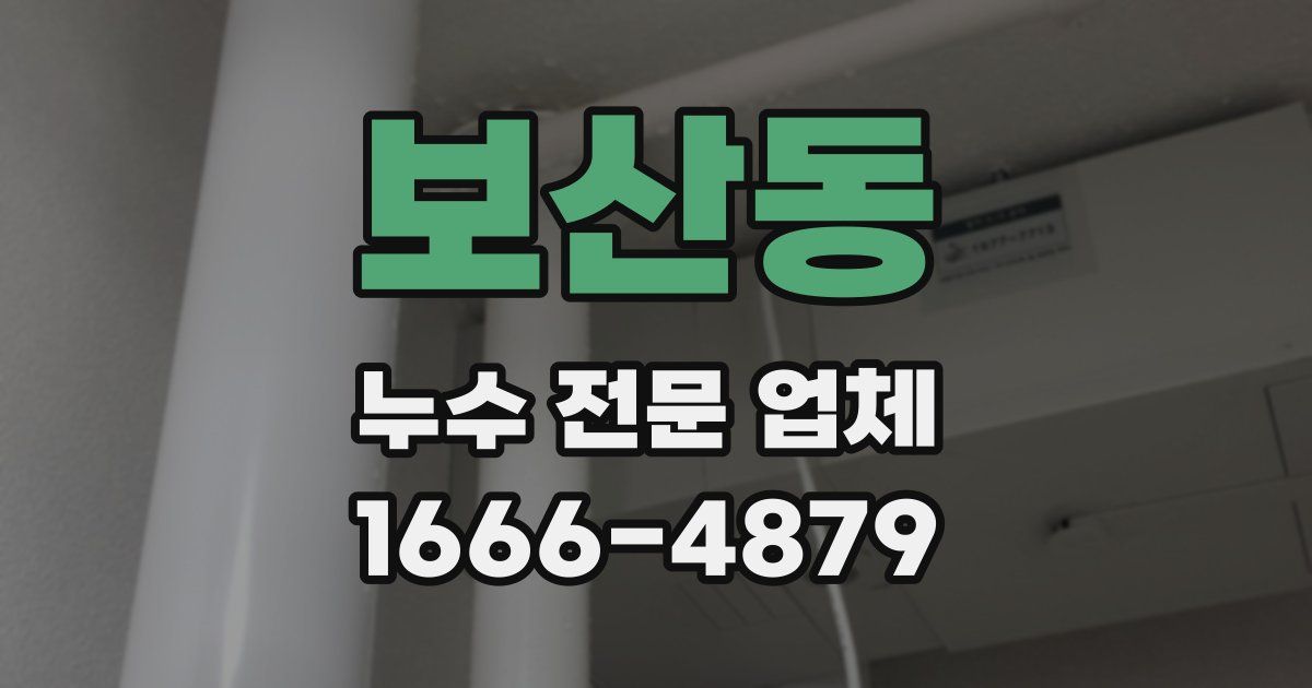 보산동 누수 전문 업체