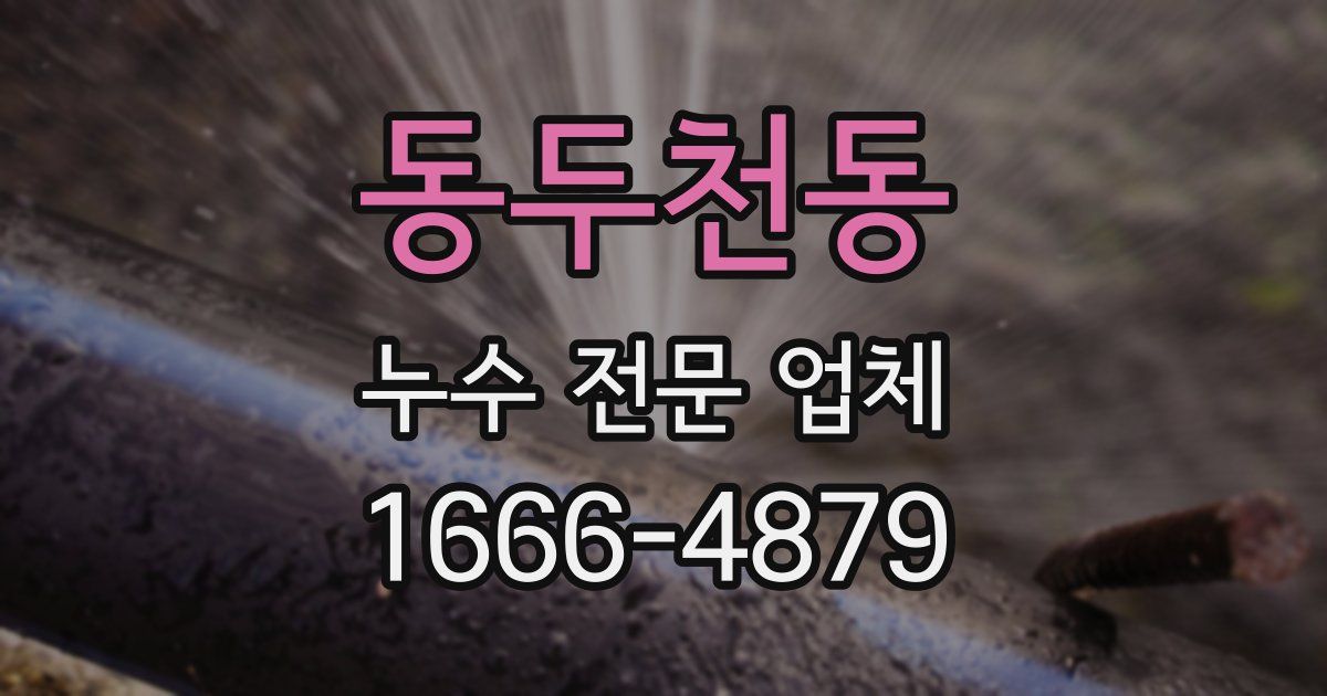 동두천동 누수 전문 업체