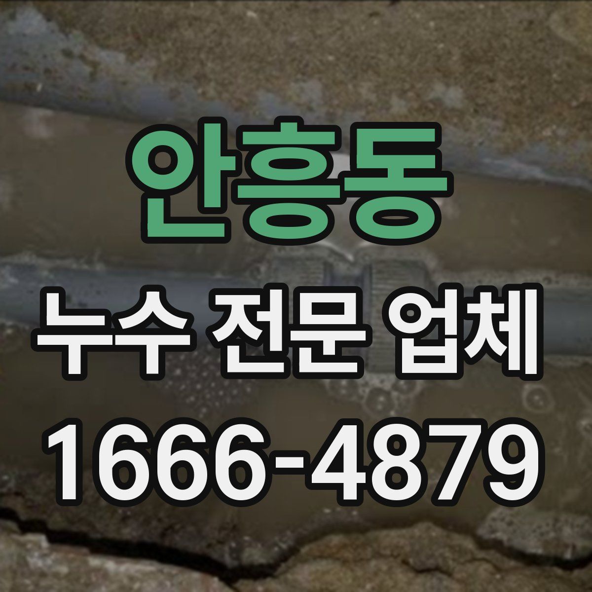 안흥동 누수 전문 업체