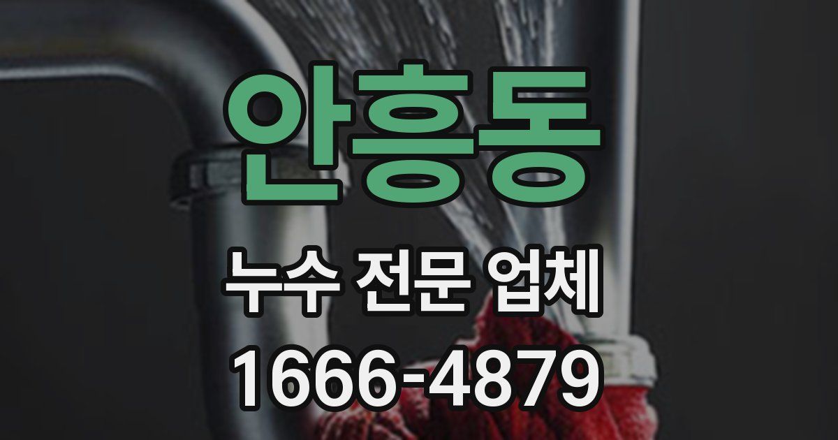 안흥동 누수 전문 업체