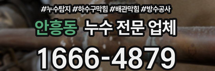 안흥동 누수 전문 업체
