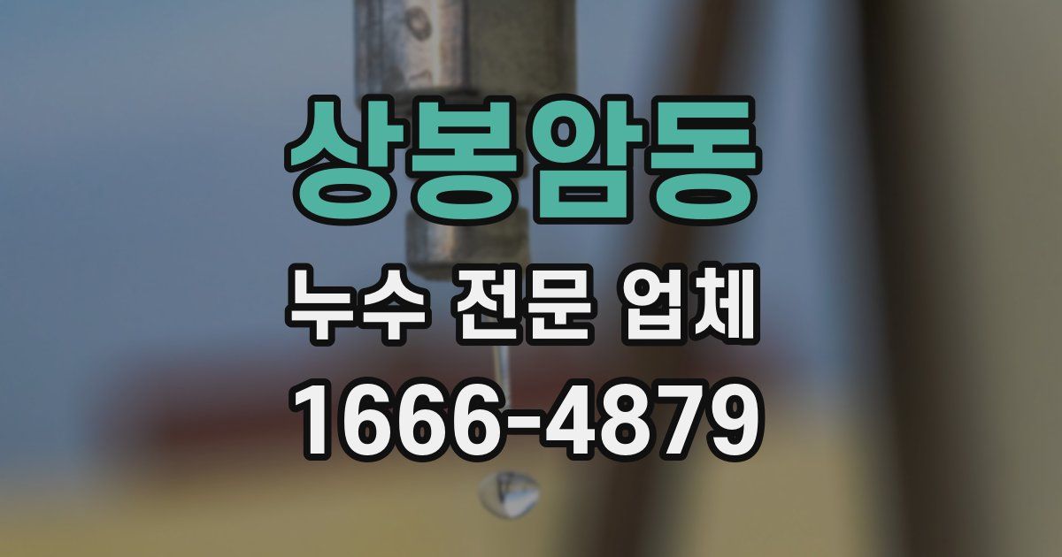 상봉암동 누수 전문 업체