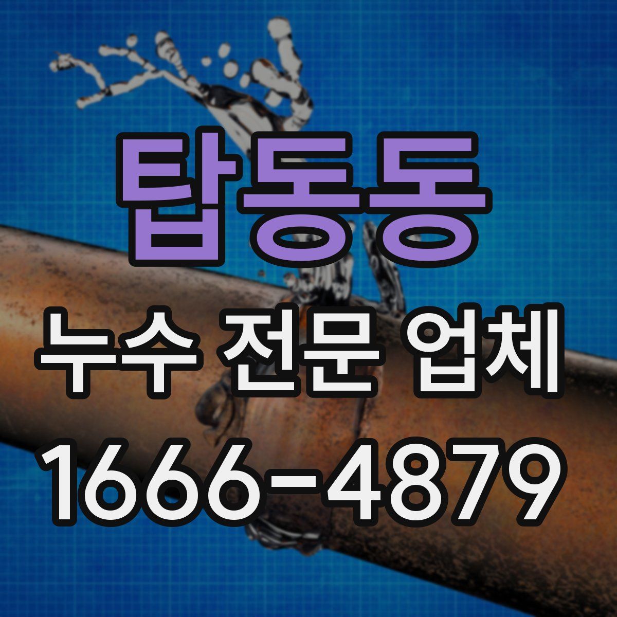 탑동동 누수 전문 업체
