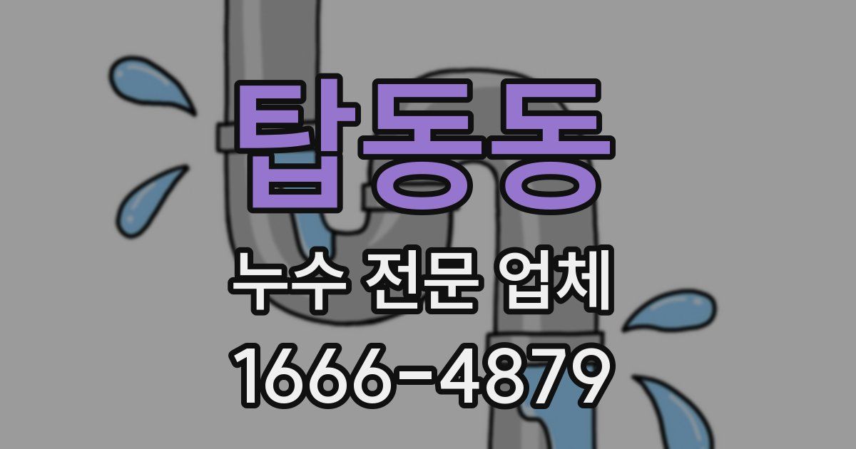 탑동동 누수 전문 업체
