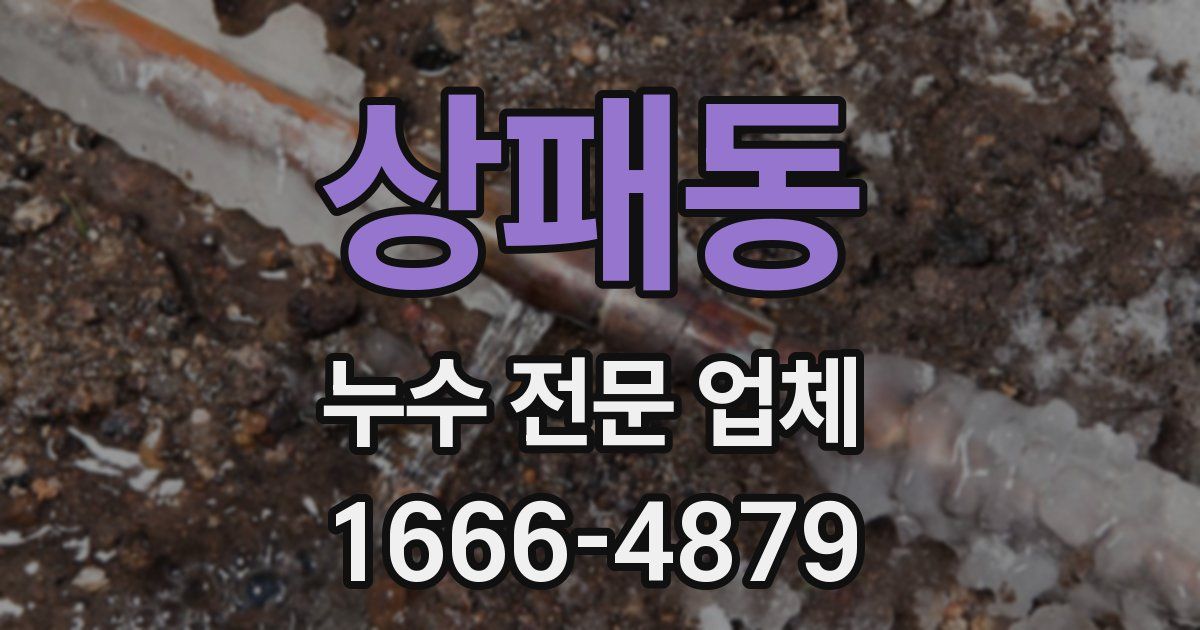 상패동 누수 전문 업체