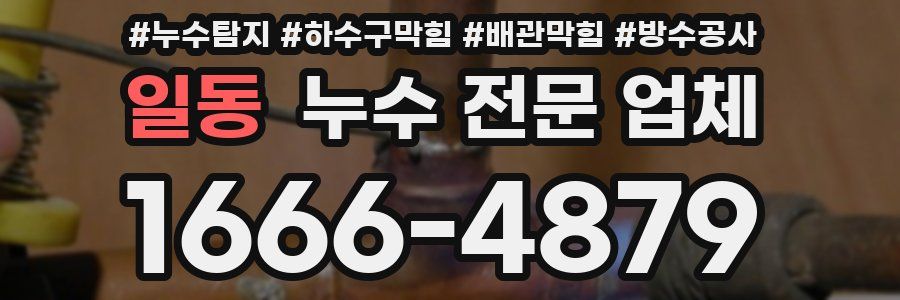 일동 누수 전문 업체