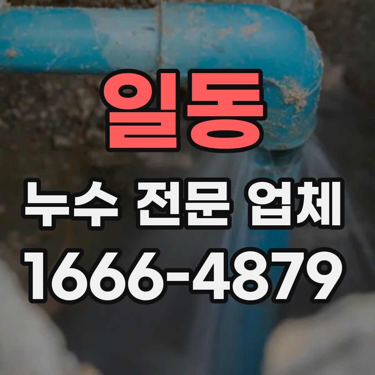 일동 누수 전문 업체