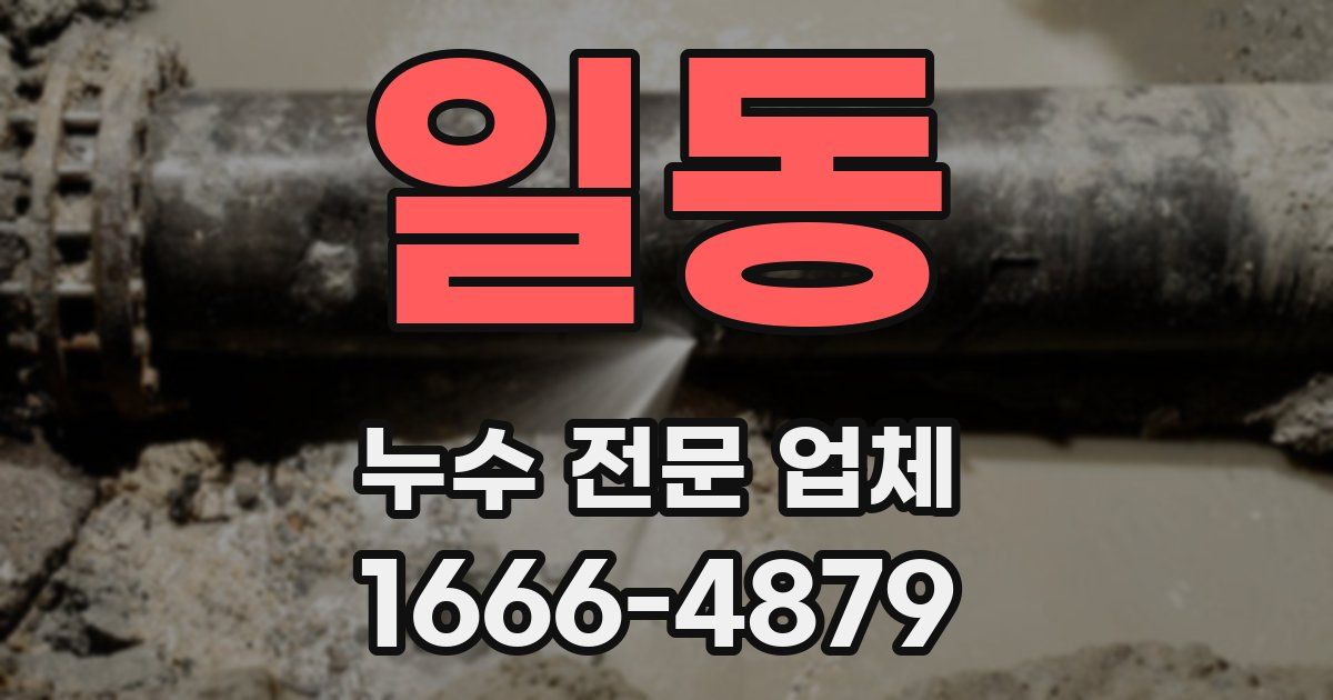 일동 누수 전문 업체