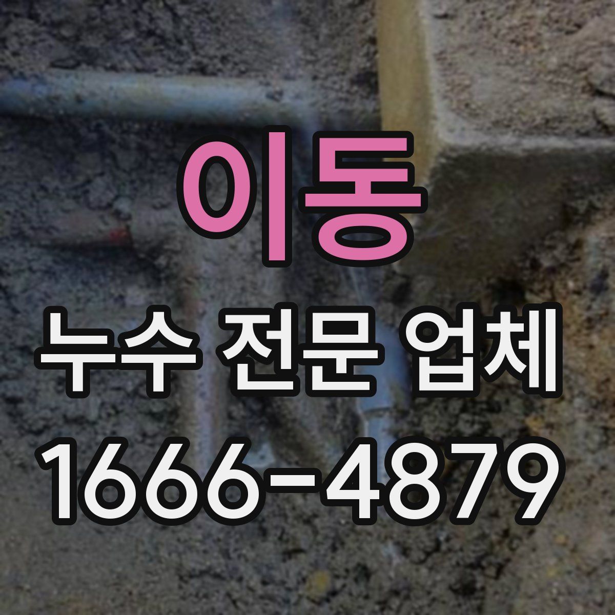 이동 누수 전문 업체