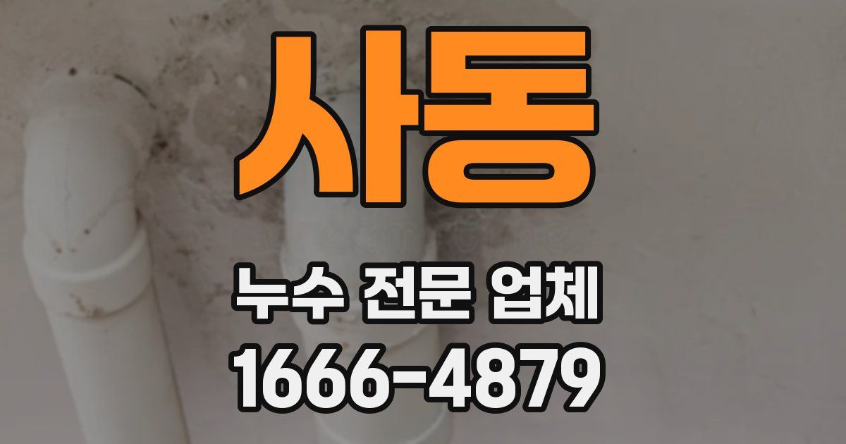 사동 누수 전문 업체