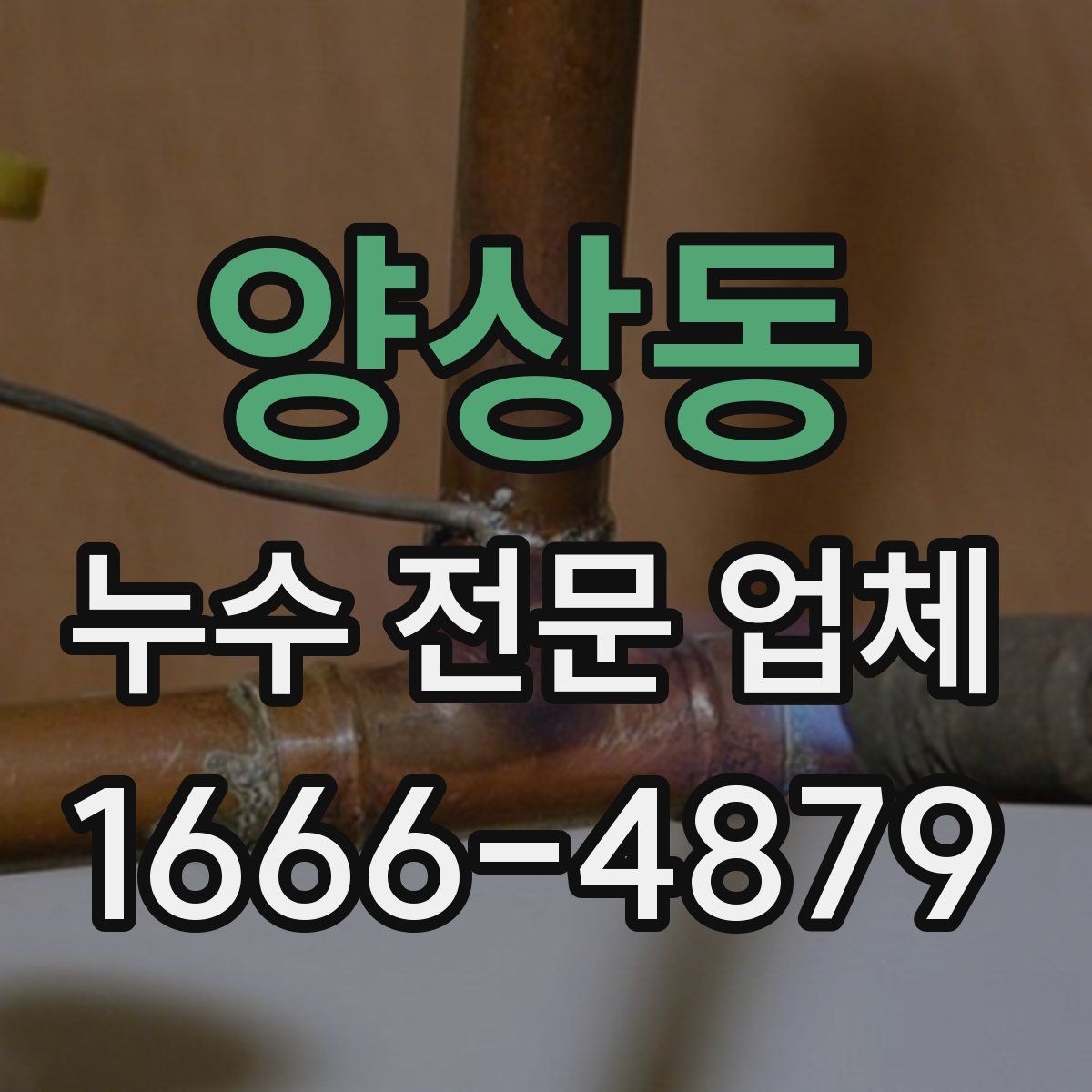 양상동 누수 전문 업체