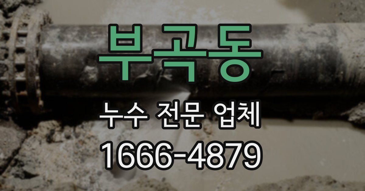부곡동 누수 전문 업체
