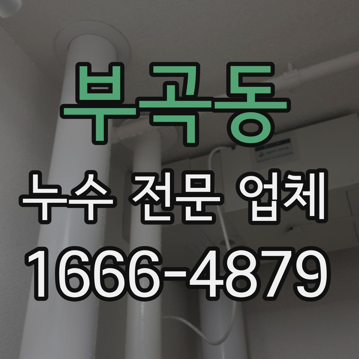 부곡동 누수 전문 업체