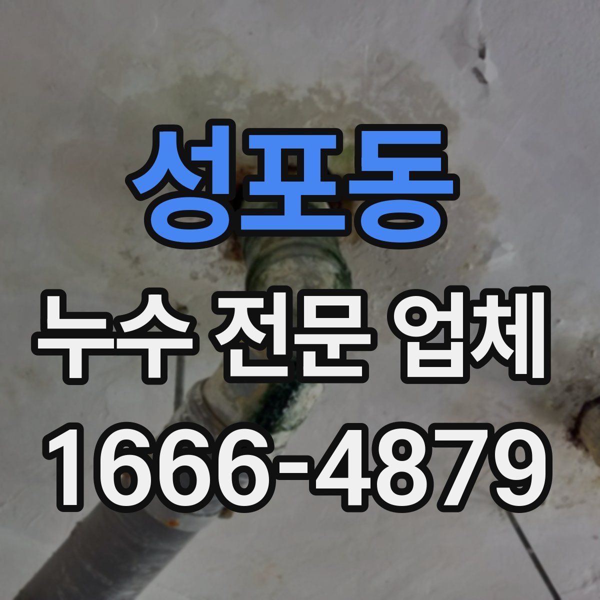 성포동 누수 전문 업체