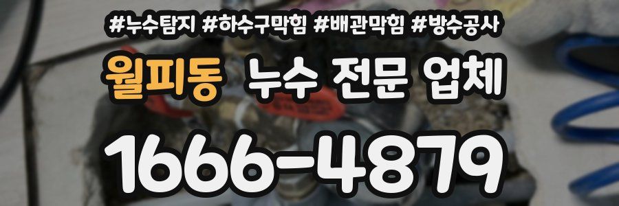월피동 누수 전문 업체