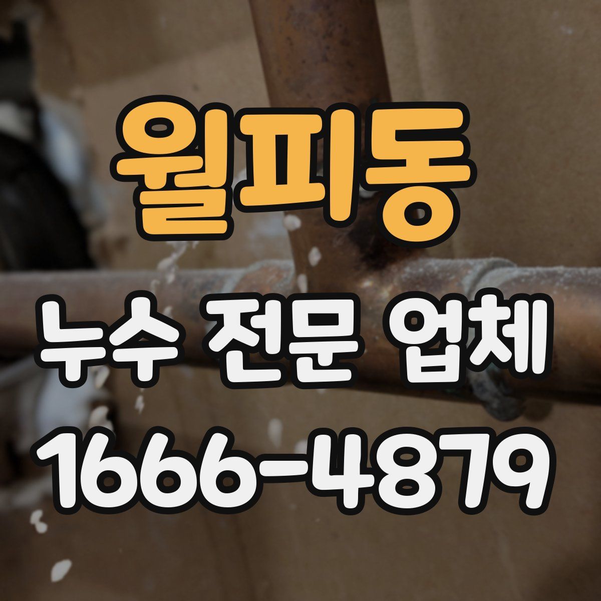 월피동 누수 전문 업체