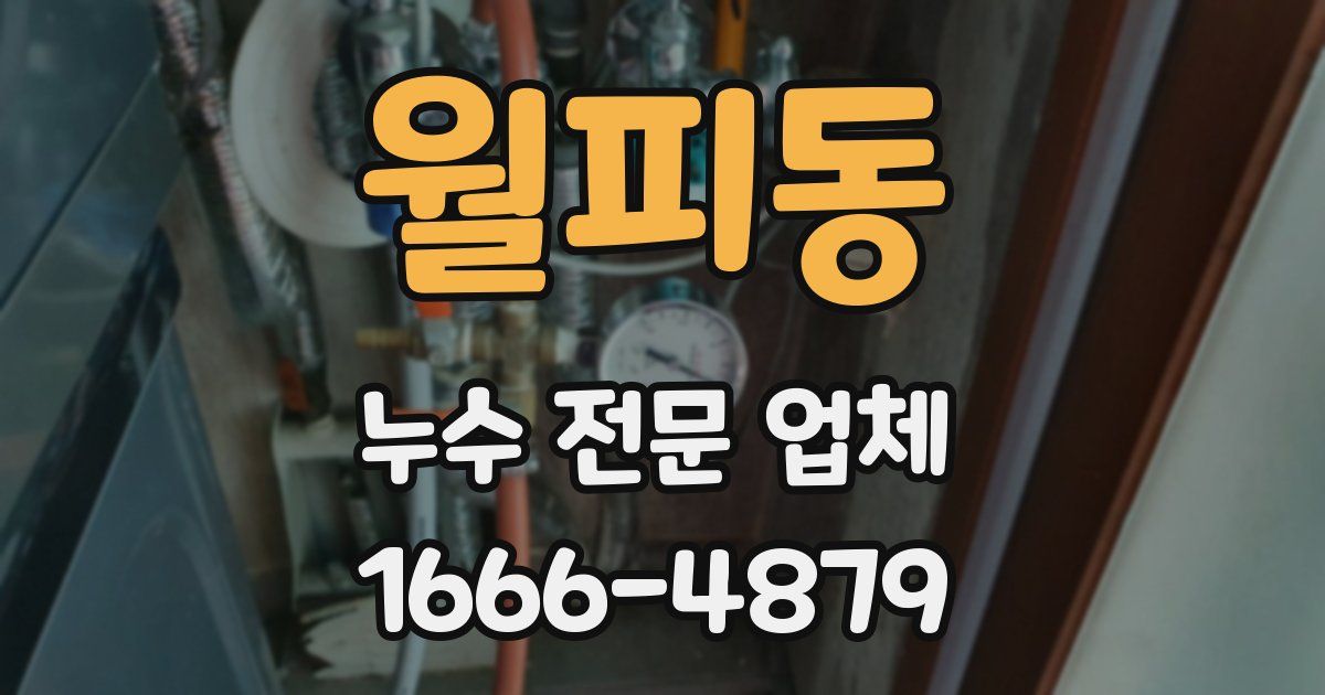 월피동 누수 전문 업체
