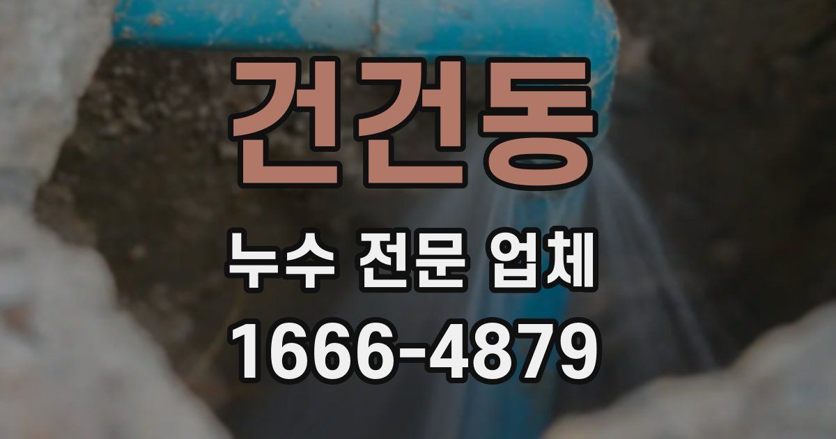 건건동 누수 전문 업체