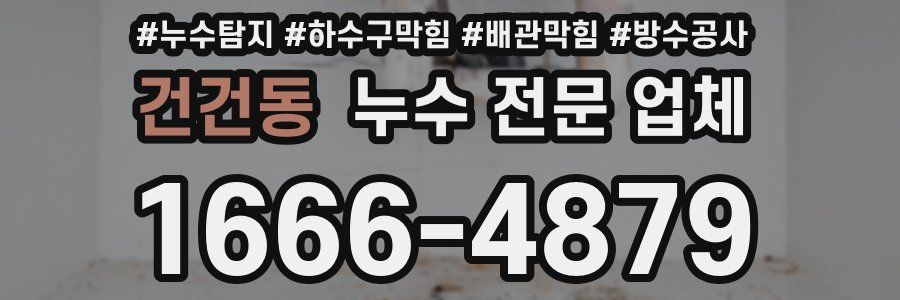 건건동 누수 전문 업체