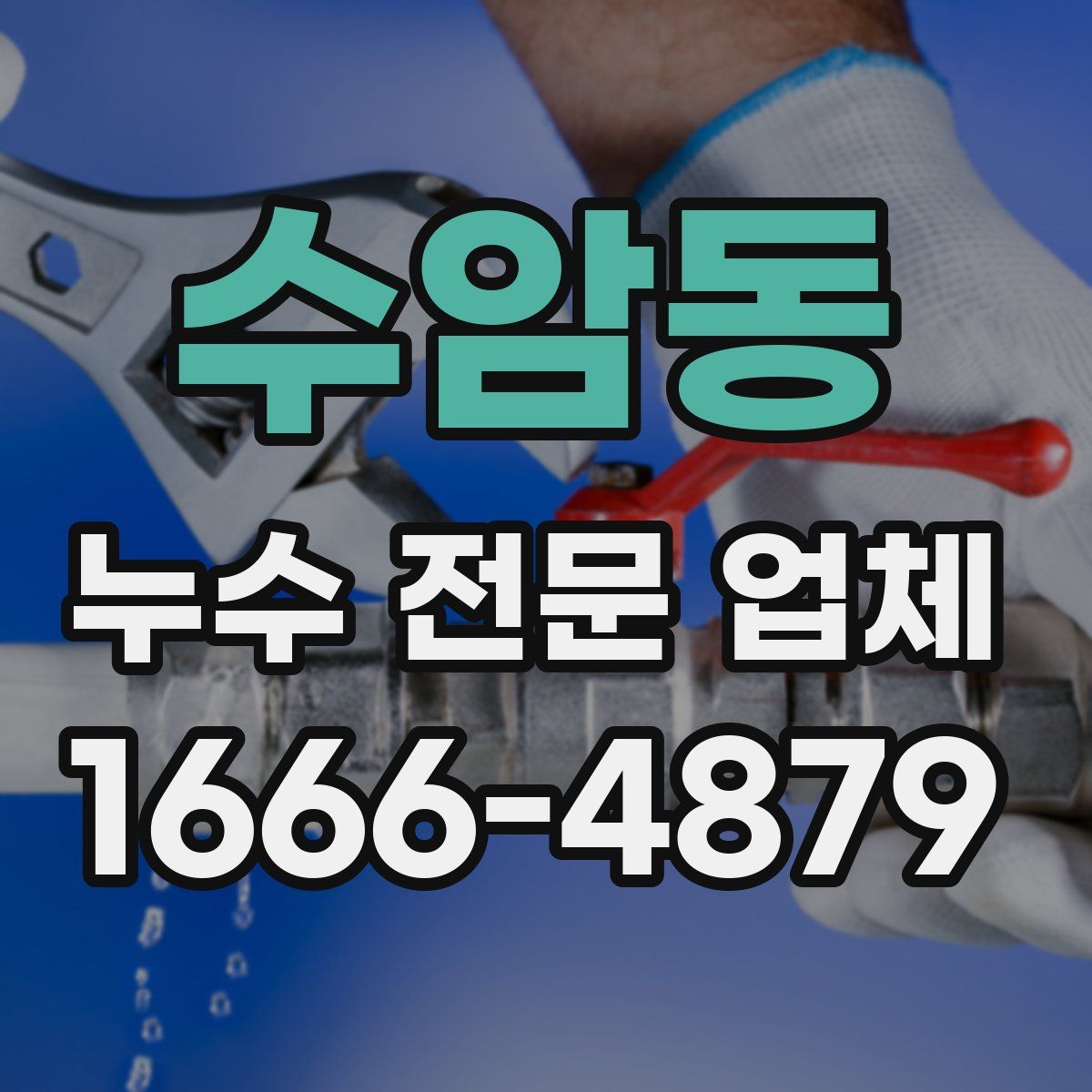 수암동 누수 전문 업체