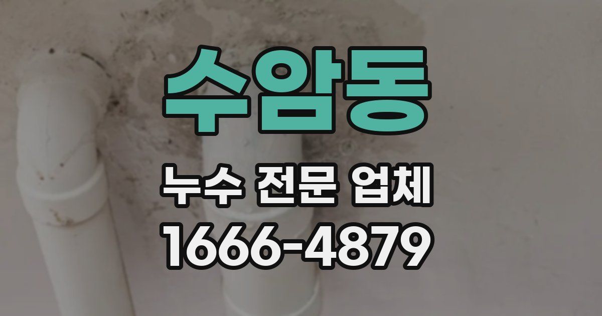 수암동 누수 전문 업체