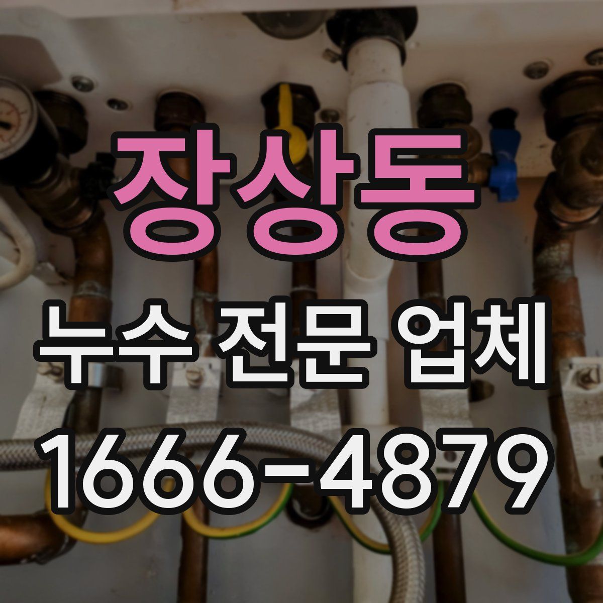 장상동 누수 전문 업체
