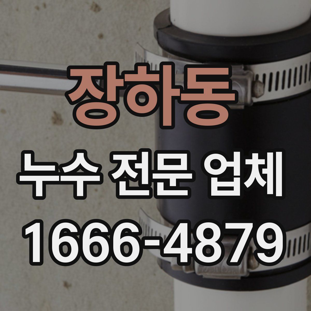 장하동 누수 전문 업체