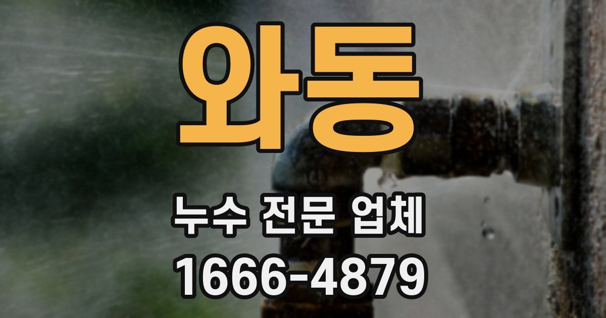 와동 누수 전문 업체