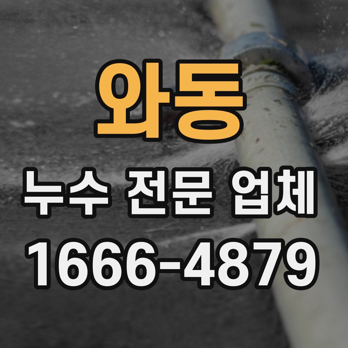 와동 누수 전문 업체