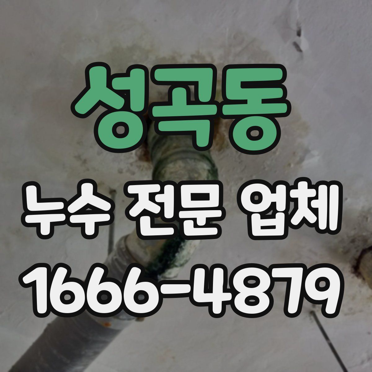 성곡동 누수 전문 업체
