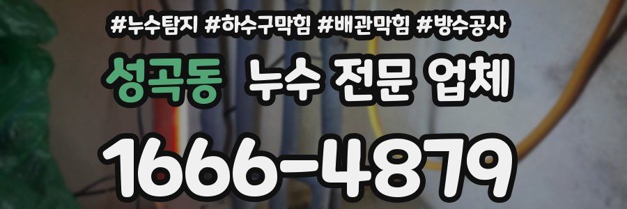 성곡동 누수 전문 업체