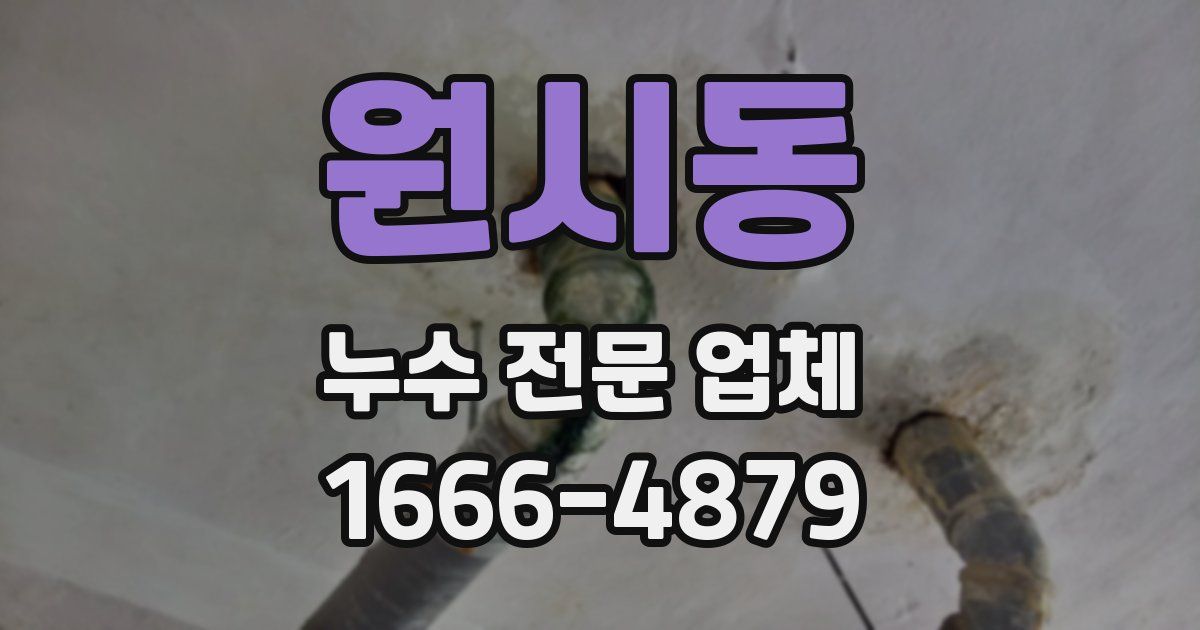 원시동 누수 전문 업체