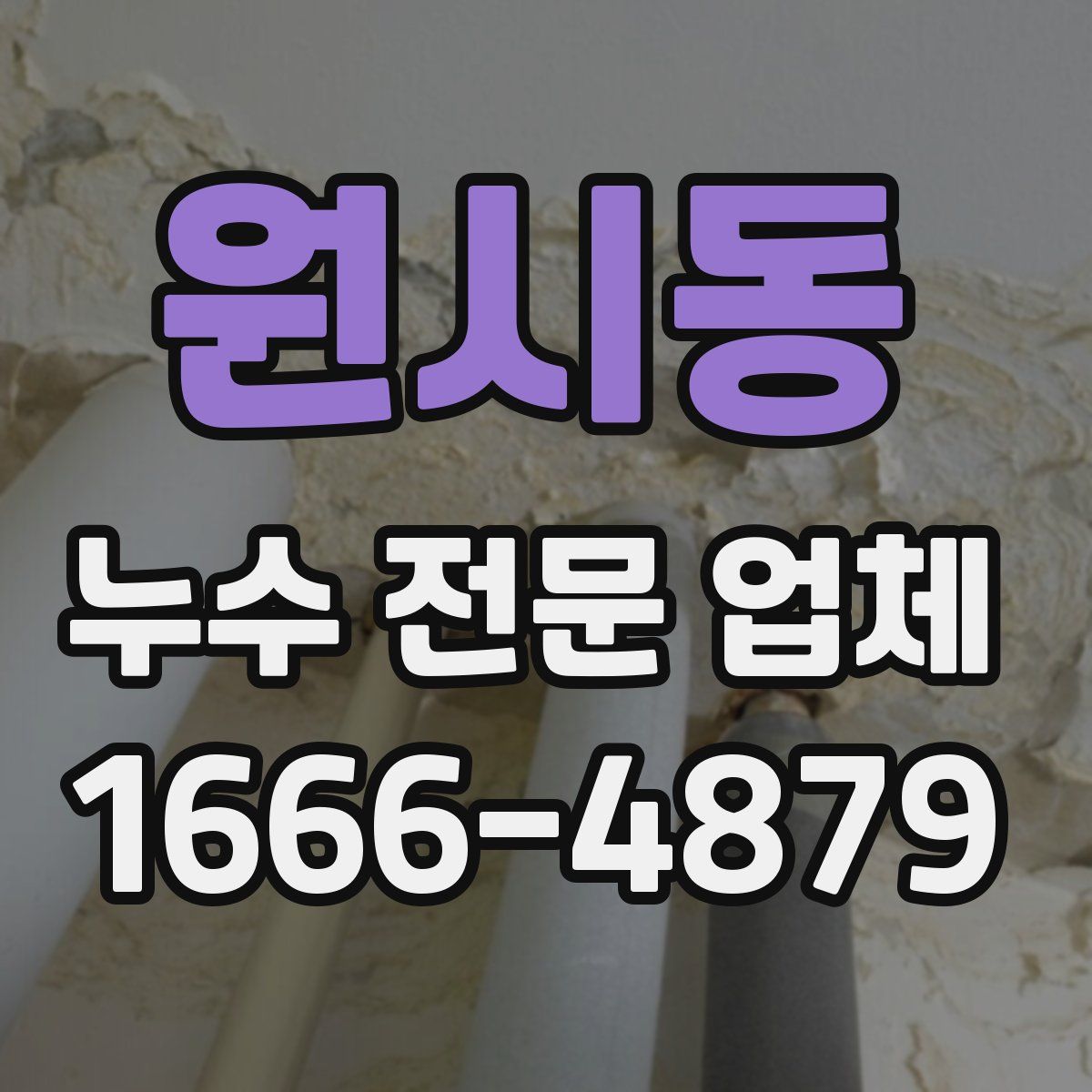 원시동 누수 전문 업체
