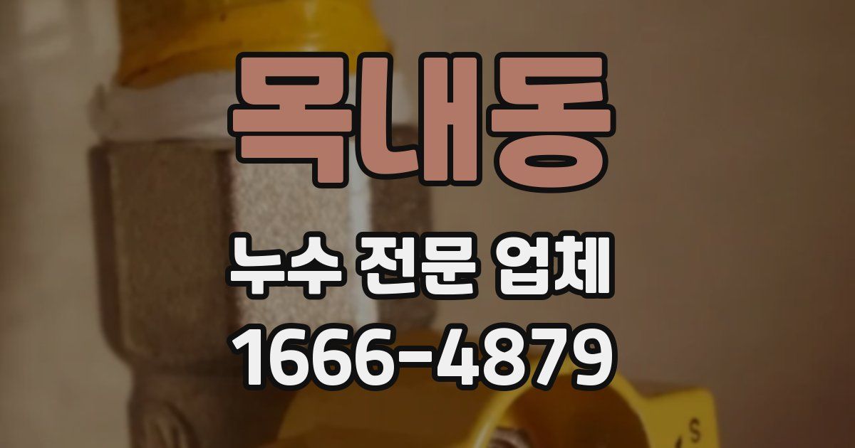 목내동 누수 전문 업체