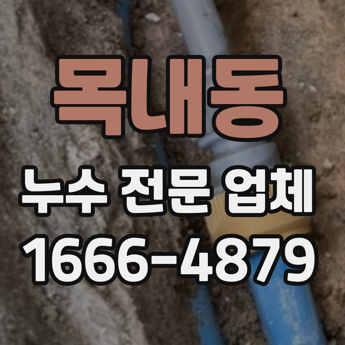 목내동 누수 전문 업체