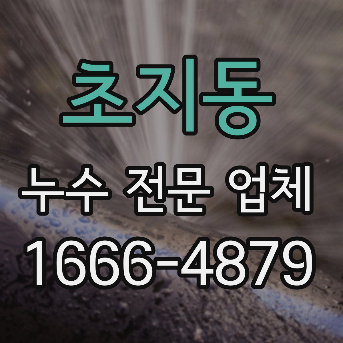 초지동 누수 전문 업체