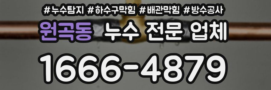 원곡동 누수 전문 업체