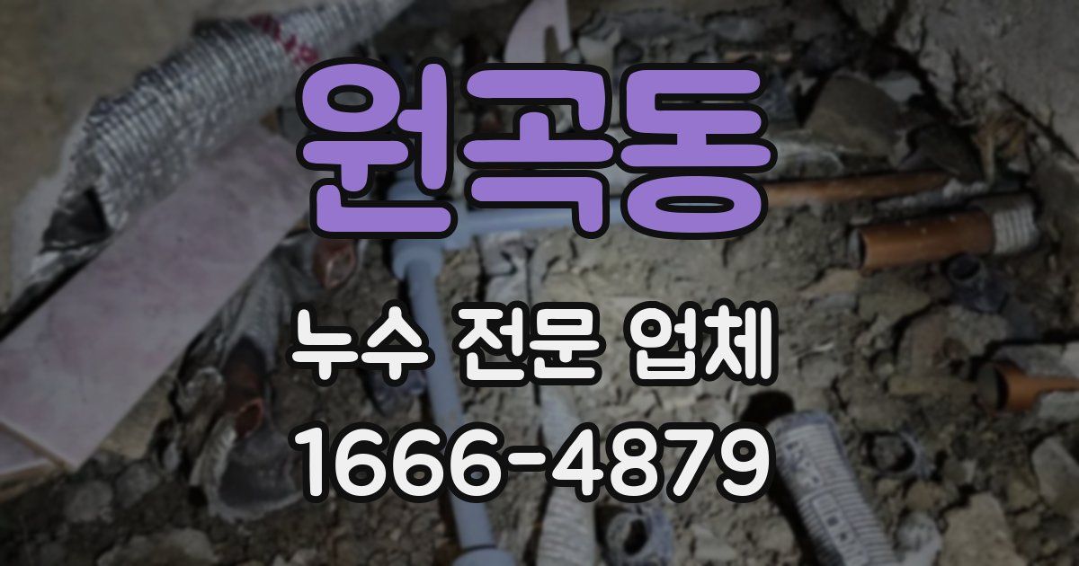 원곡동 누수 전문 업체