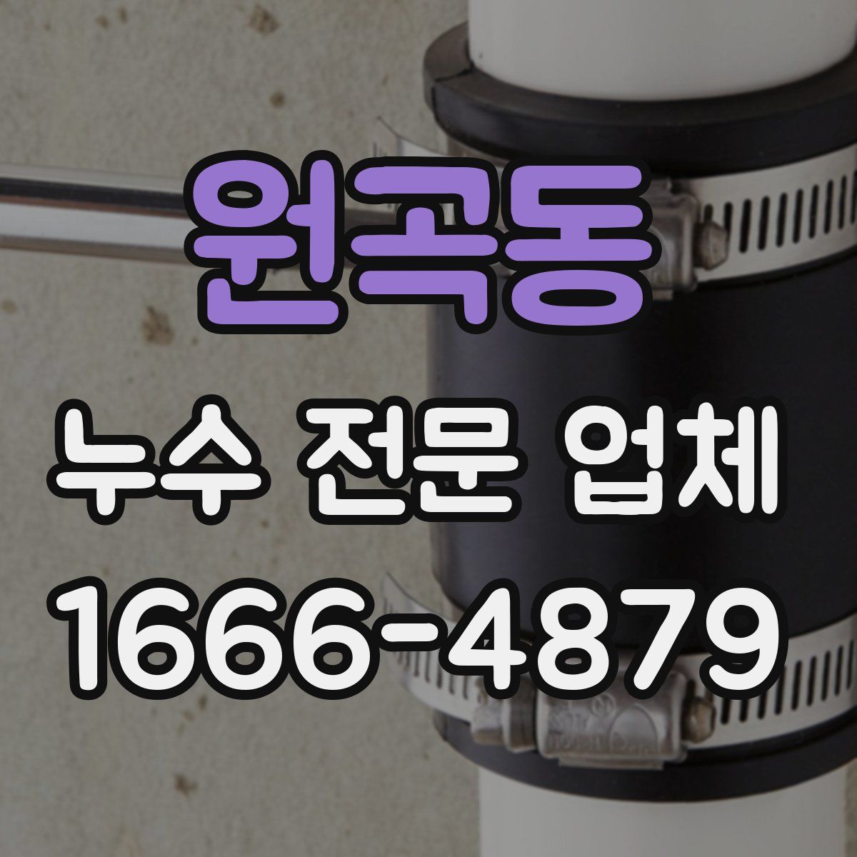 원곡동 누수 전문 업체
