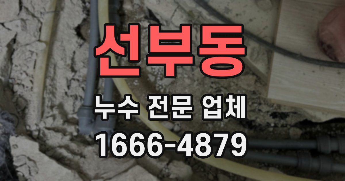 선부동 누수 전문 업체
