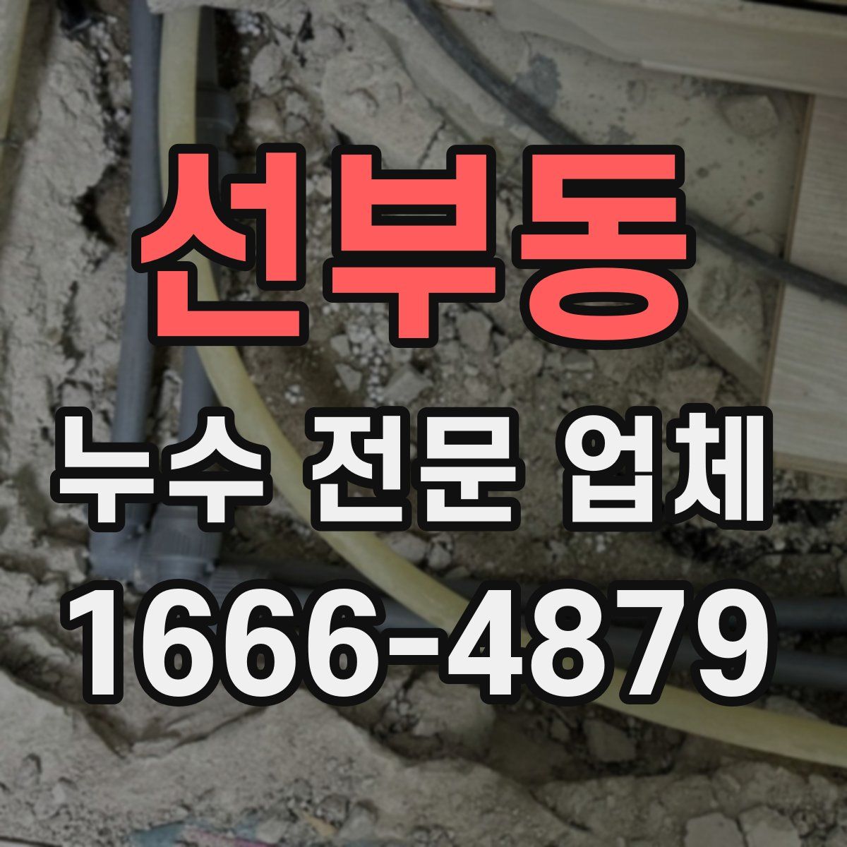 선부동 누수 전문 업체