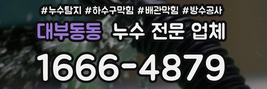 대부동동 누수 전문 업체
