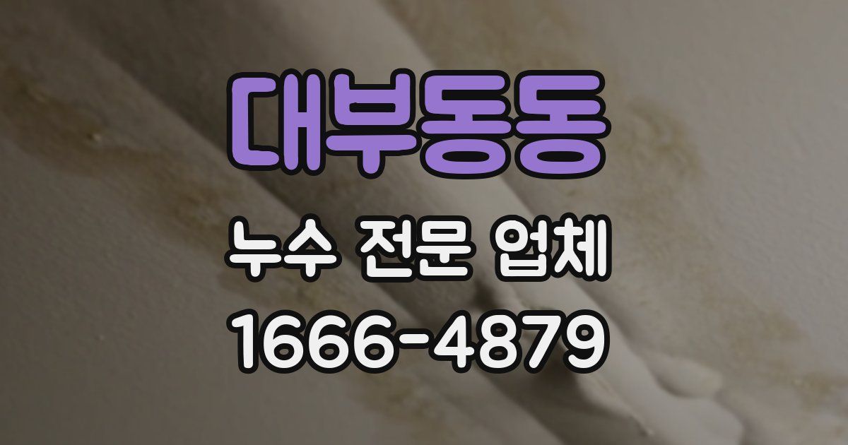 대부동동 누수 전문 업체