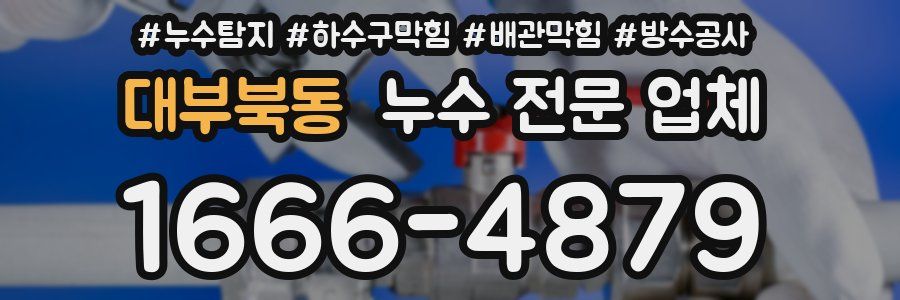 대부북동 누수 전문 업체